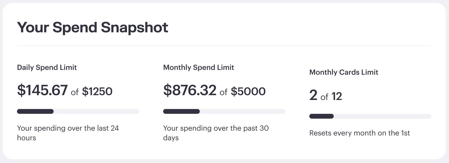 Your Spend Snapshot.png